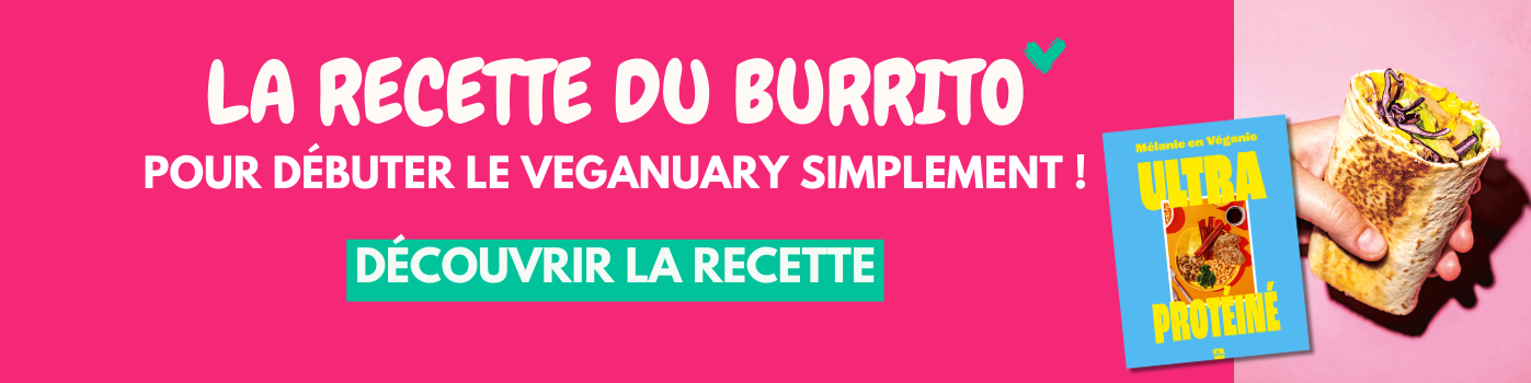 Recette de burrito vegan offerte