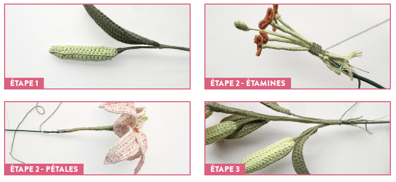 image de la fleur