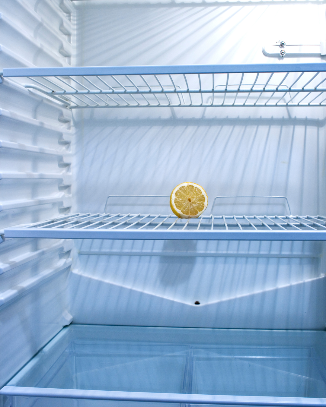 Les erreurs à éviter pour réussir le Veganuary 