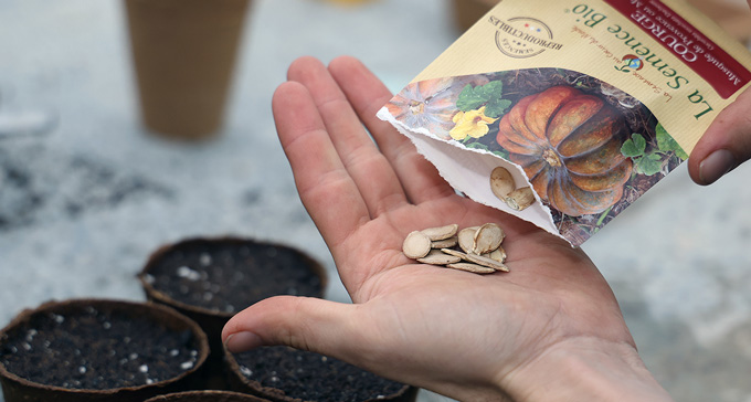 Que semer en mars-avril ?