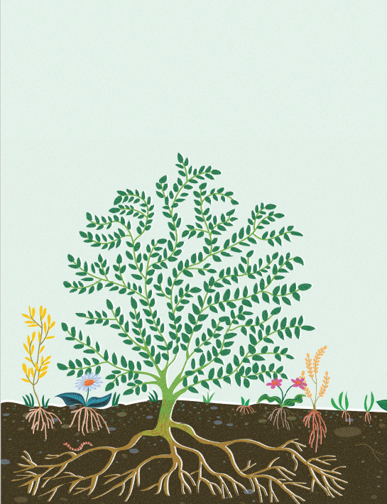 Comment préparer son jardin à l'automne ? 5 gestes simples pour favoriser la biodiversité