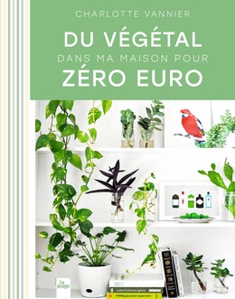Du végétal dans ma maison pour zéro euro - Charlotte Vannier - La Plage
